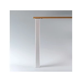 ASZTALLÁB 64670A004RG QUADRA SZÖGLETES 700mm×60mm×60mm áll.+10mm ALUMÍNIUM