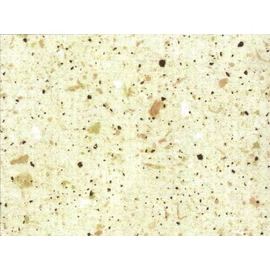 VIZZÁRÓ 4793 TP CHIP SAND (D93QZ) 4,2 fm BEIGE-AV