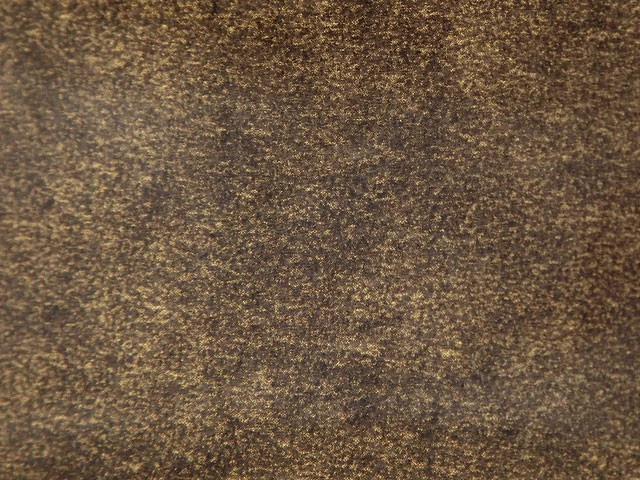 Fp0209 Forest () Fp0209 Forest